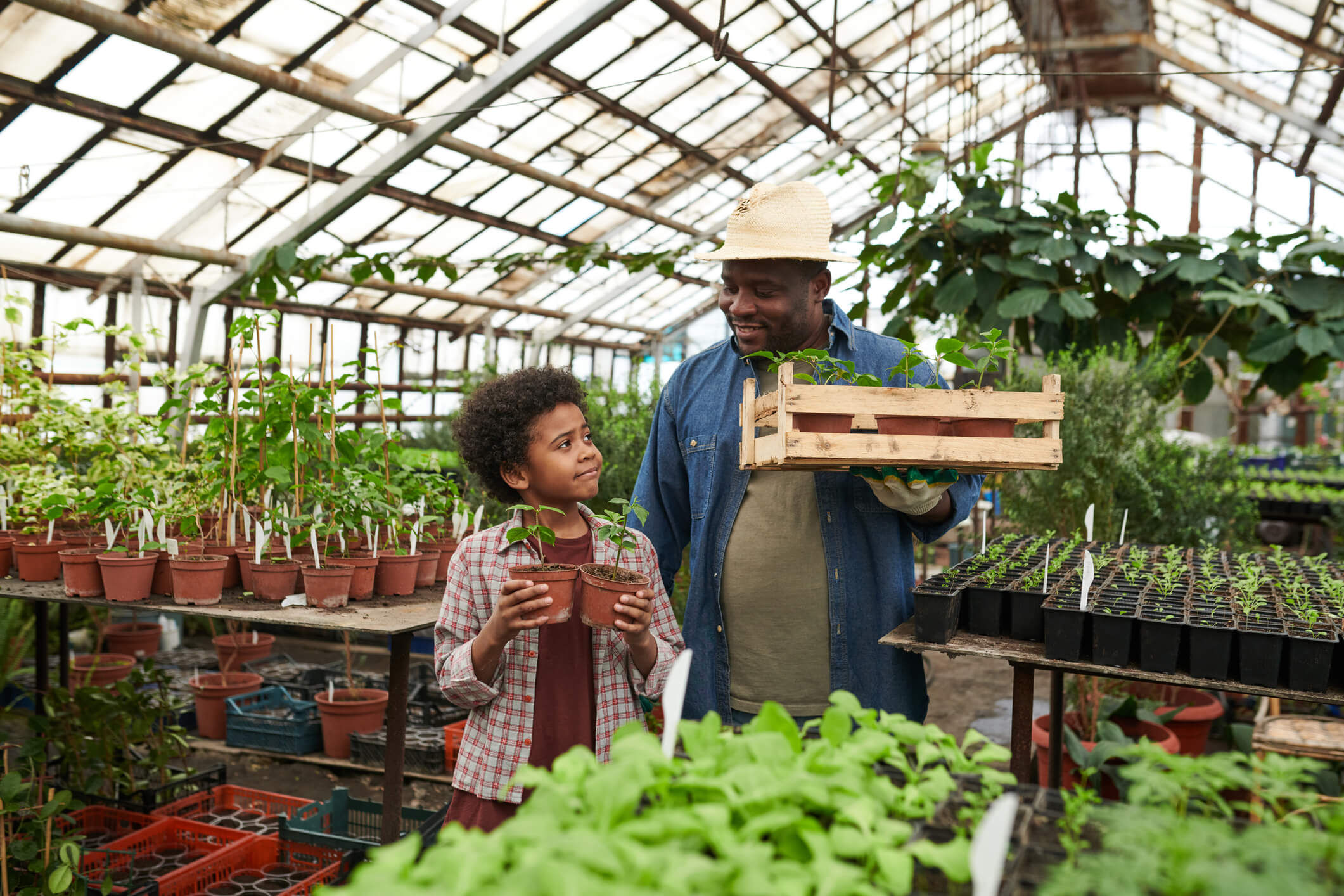 a father shopping in a greenhouse with his son on Father's Day