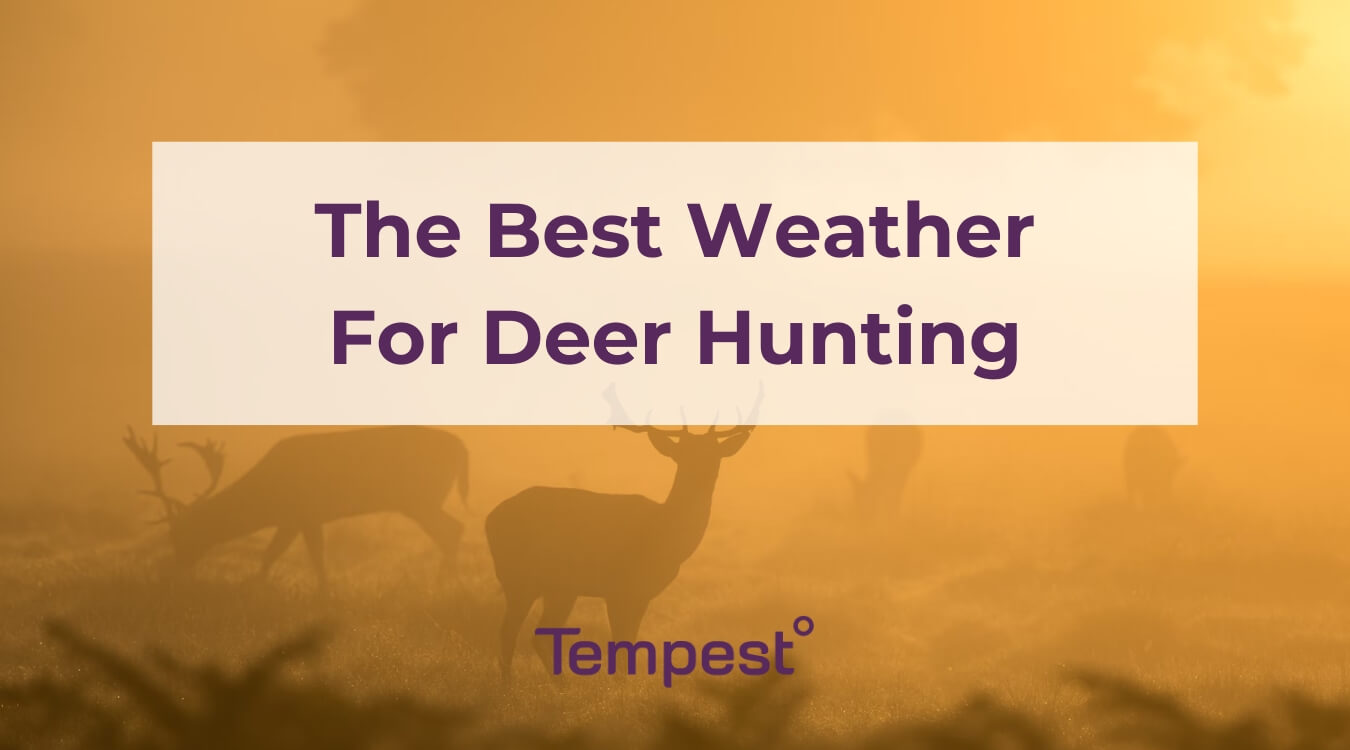deer being hunted in the best deer hunting weather