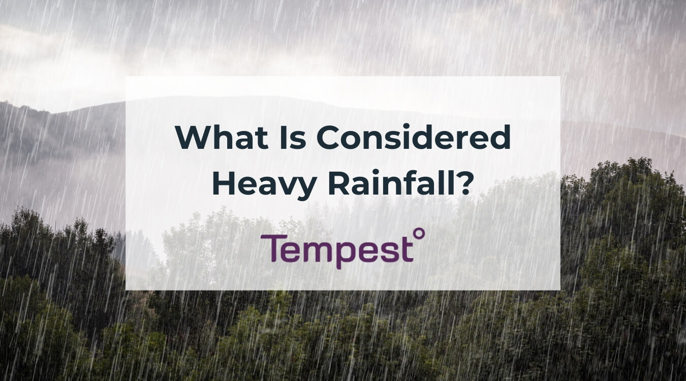 heavy rainfall in a forested area