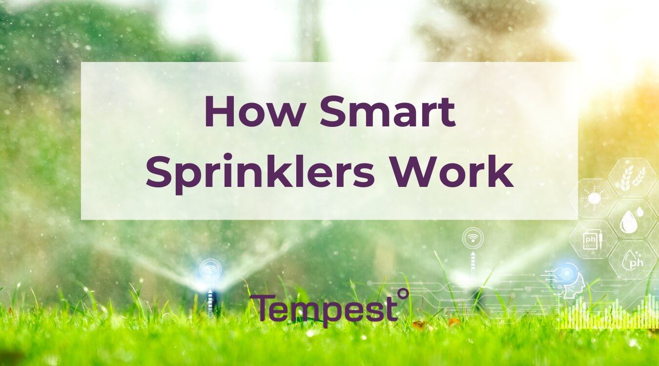 a smart sprinkler system connected to a smart irrigation system