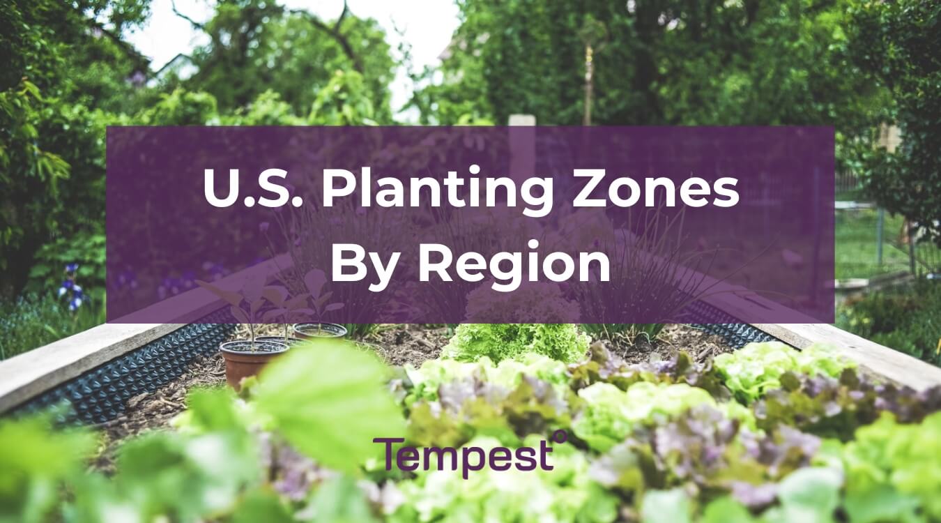the United States planting zones by region for gardeners