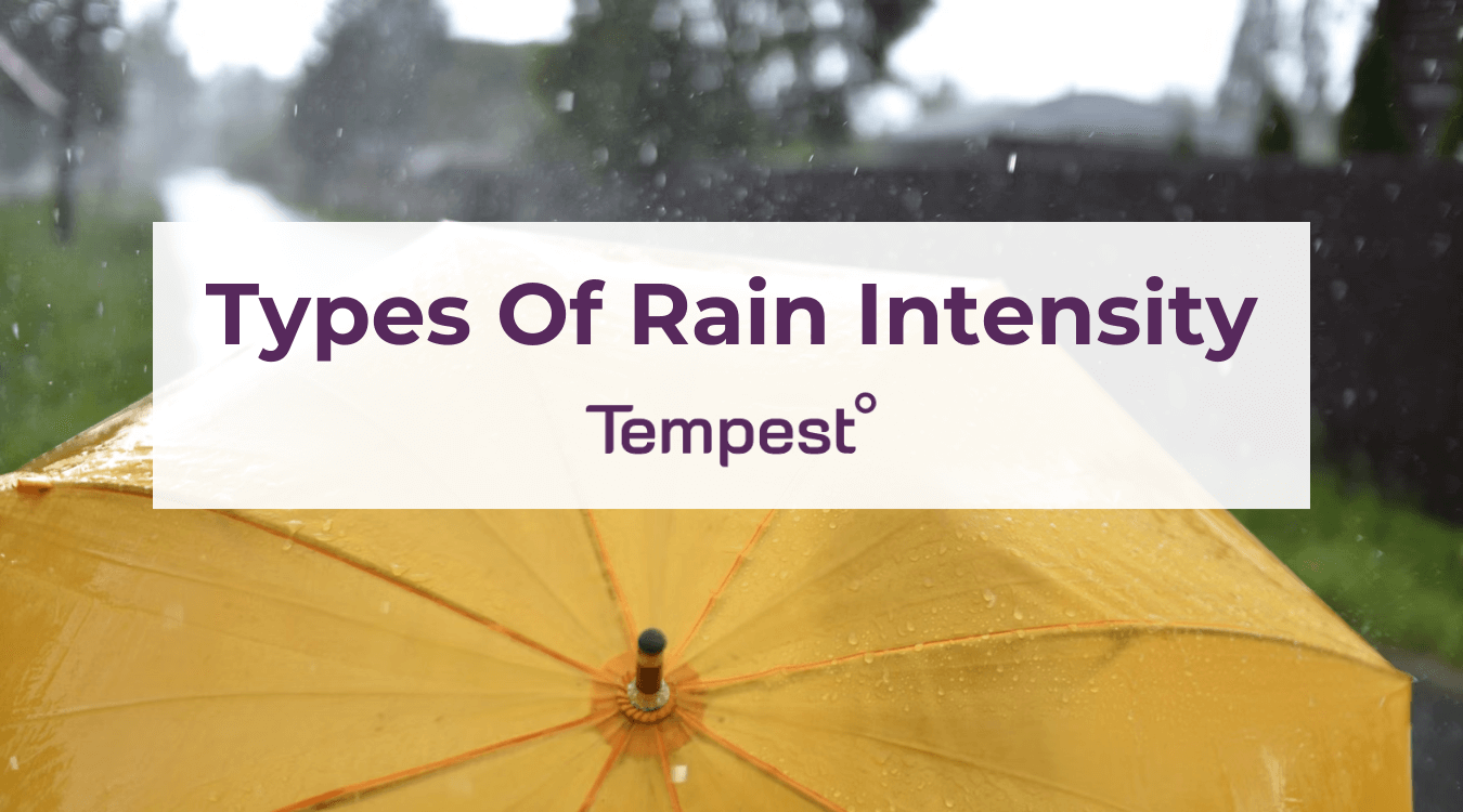 rain showering on a yellow umbrella at a mild intensity